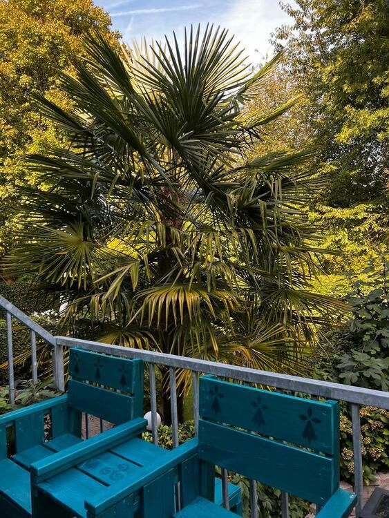 Haus 130 m2 - 5 Zimmer - 1.600.- warm - Leichlingen Zentrum zimmer