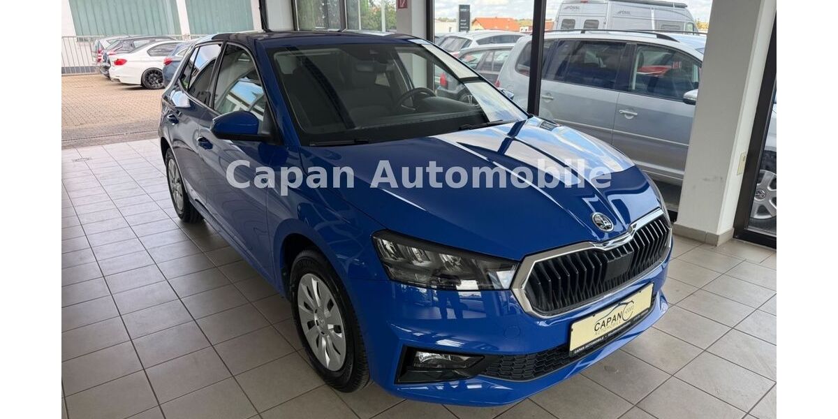 Skoda Fabia 9.000 km 14.600 &euro; Kirchheimbolanden 67292