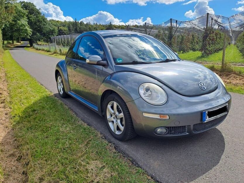 Beetle