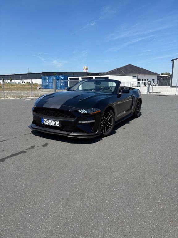 Mustang