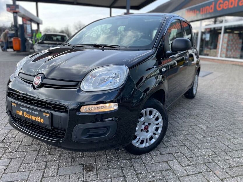 Panda