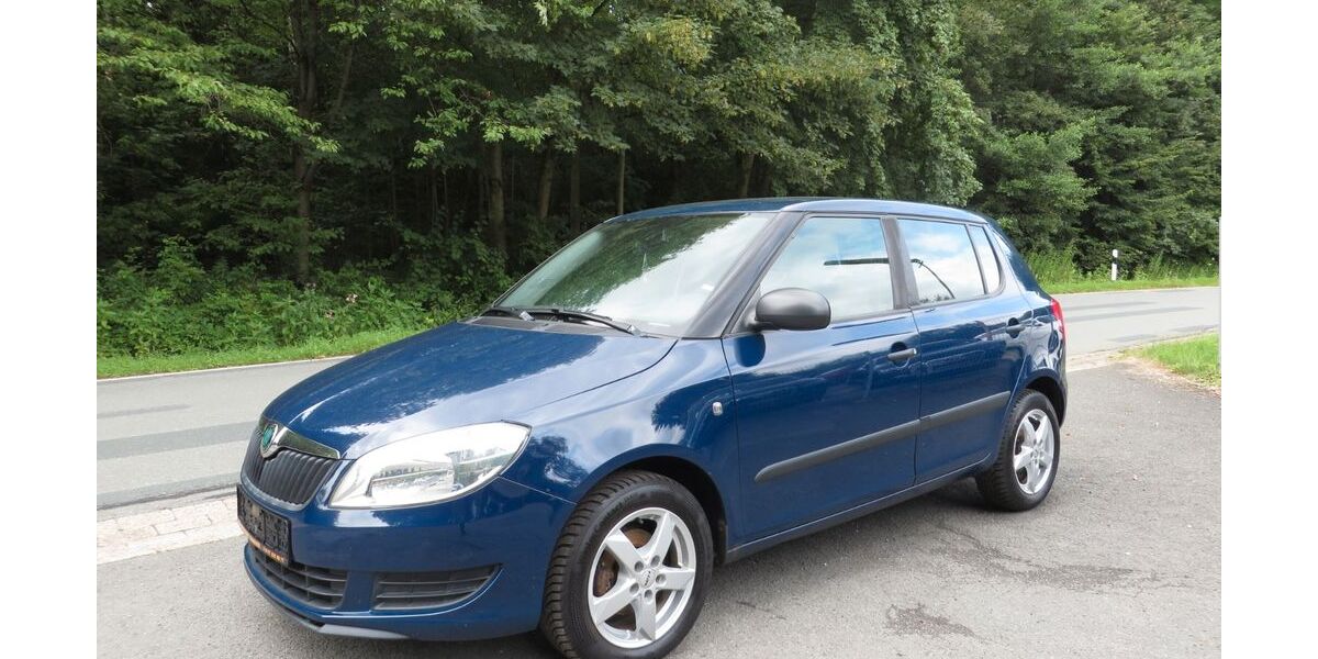 Skoda Fabia 176.000 km 2.999 &euro; Bad Grund 37539