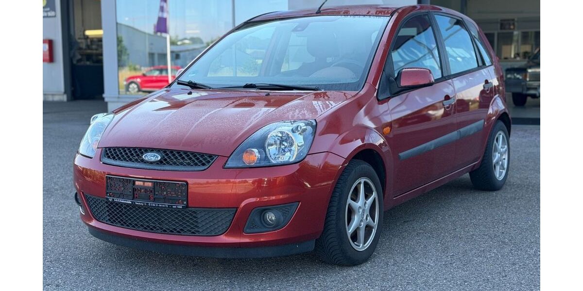 Ford Fiesta 166.000 km 1.990 &euro; Neuburg an der Donau 86633