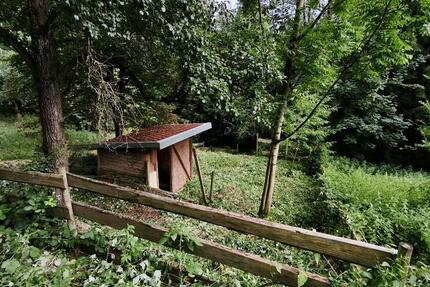 Grundstück Kirchberg an der Murr - 130&euro; | Angebot:26394228