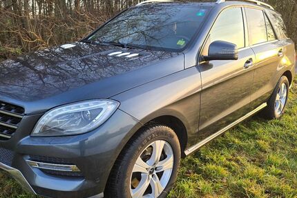 Mercedes-Benz ML 350 208.000 km 19.400 &euro; Philippsburg 76661