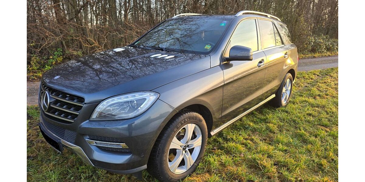 Mercedes-Benz ML 350 208.000 km 19.400 &euro; Philippsburg 76661