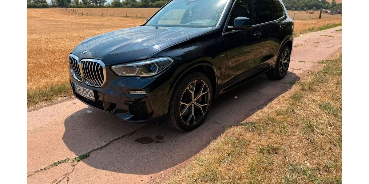 BMW X5 210.000 km 45.500 &euro; Dreisen 67816