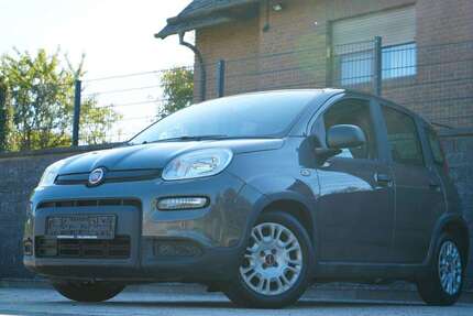 Fiat Panda 53.500 km 7.490 &euro; Haiger 35708