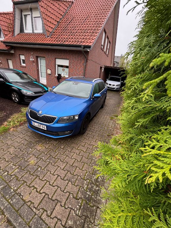 Skoda Octavia 296.000 km 8.800 € Wildeshausen 27793