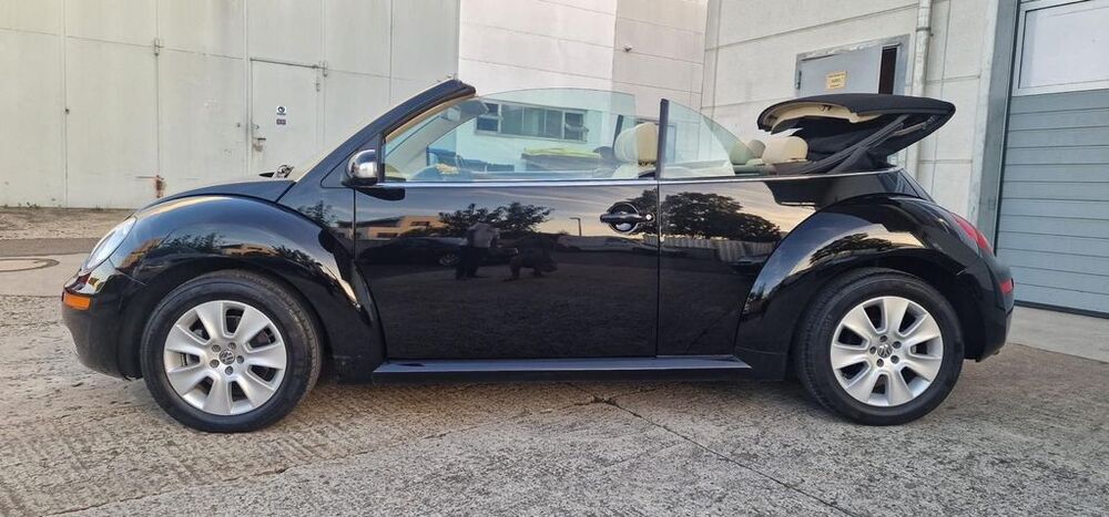 Beetle