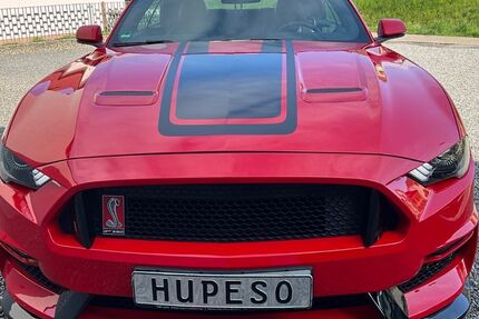 Ford Mustang 48.000 km 28.890 &euro; Friesenheim 77948