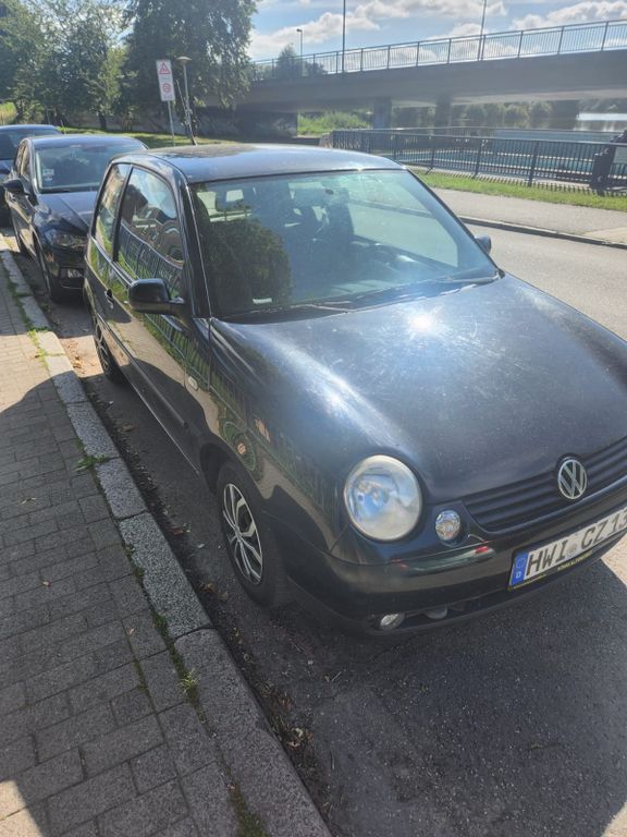 Lupo