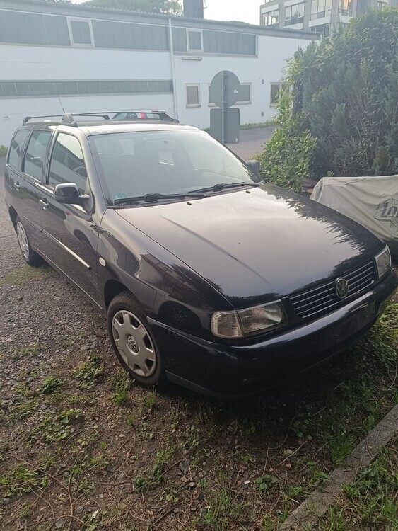Polo Variant