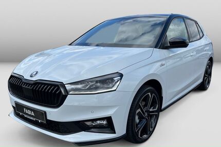 Skoda Fabia 1.111 km 27.885 &euro; Weinstadt-Endersbach 71384