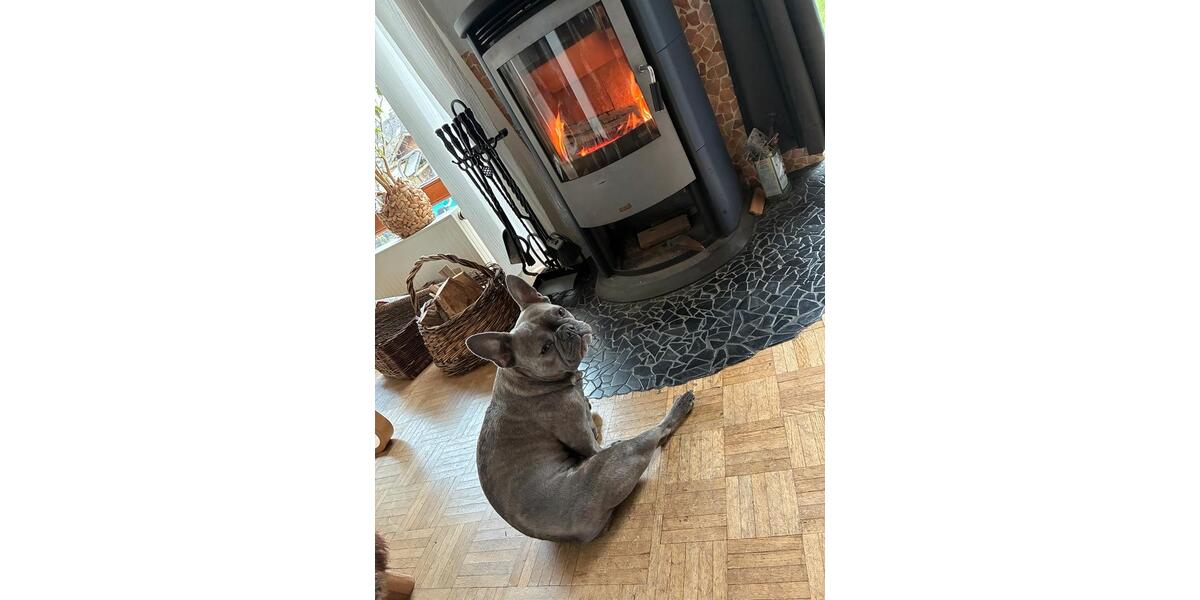 WG Zimmer ab sofort frei 6 zimmer