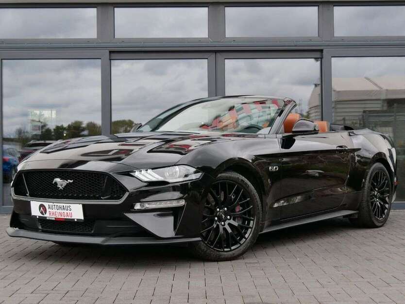 Mustang