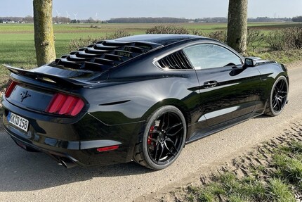 Ford Mustang 83.000 km 31.000 &euro; Nettetal 41334