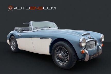 Austin Healey Andere