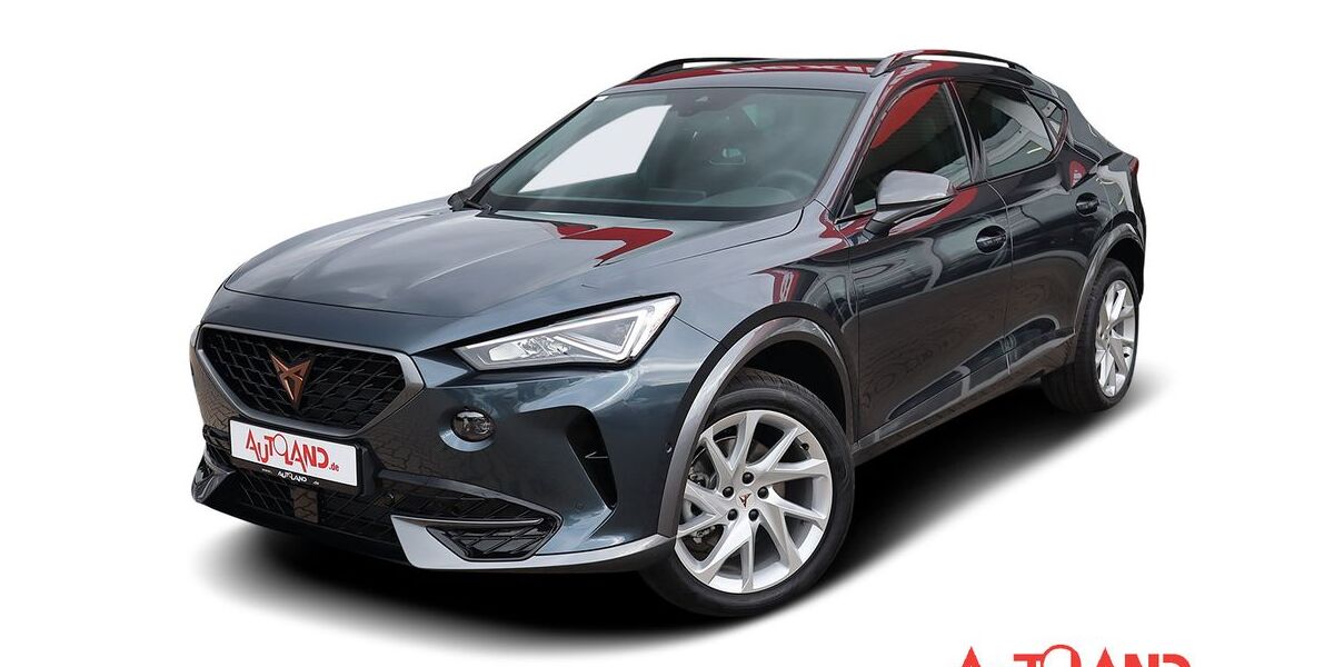 Cupra Formentor 16.166 km 24.990 &euro; Dresden 01239