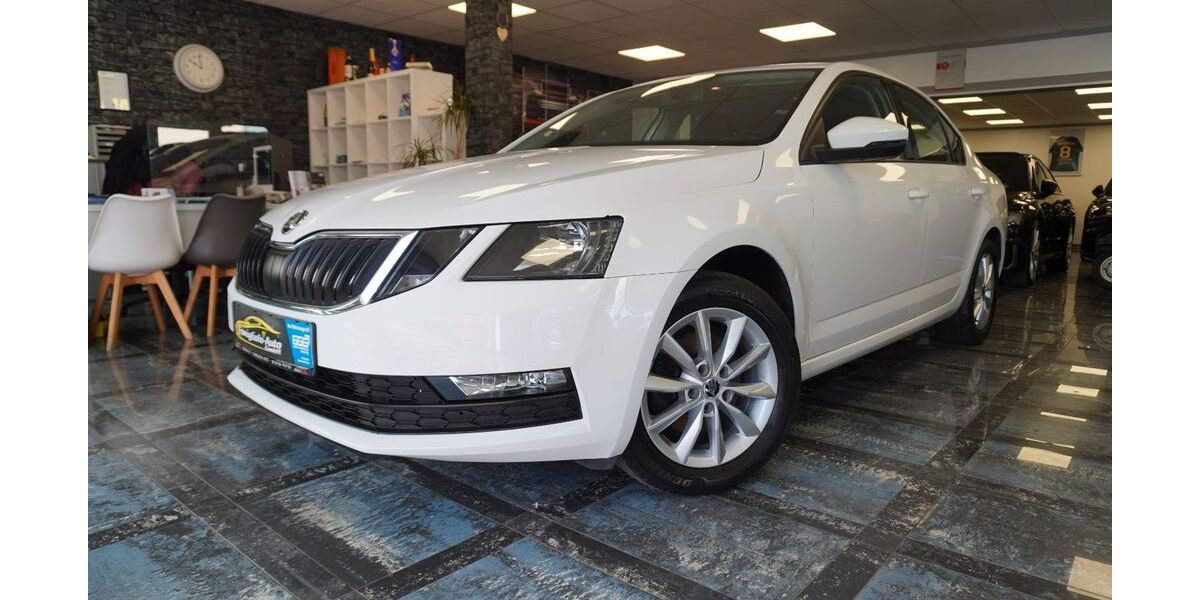Skoda Octavia 110.173 km 10.900 &euro; Mühlheim am Main nähe Frankfurt 63165