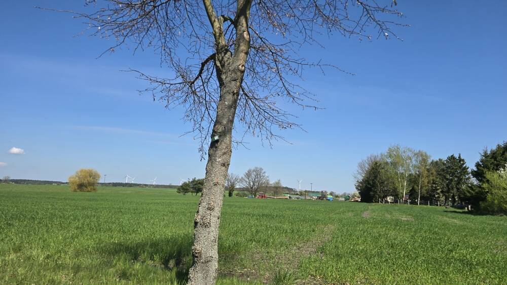 Einfamilienhaus Rietz-Neuendorf / OT Ahrensdorf Ahrensdorf - 97.000&euro; | Angebot:26388119