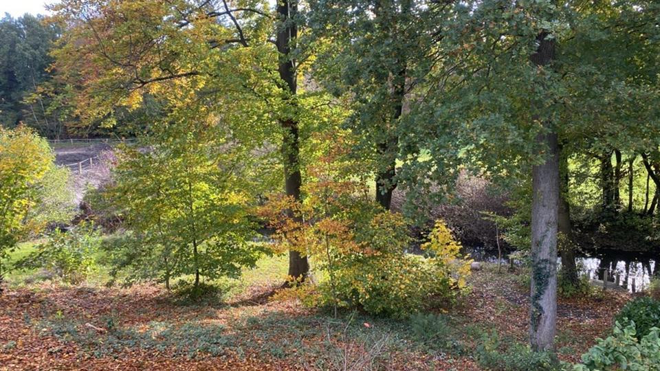 Einfamilienhaus Zeven - 5 Zimmer, 180 m&sup2;, 2.700&euro; | Angebot:26148985