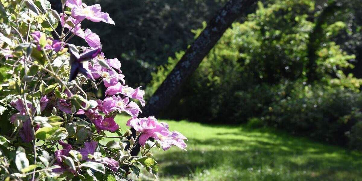 Mehrfamilienhaus, Wohnhaus Bad Ems - 750.000&euro; | Angebot:25739440