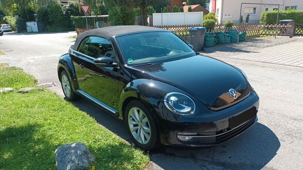 Beetle