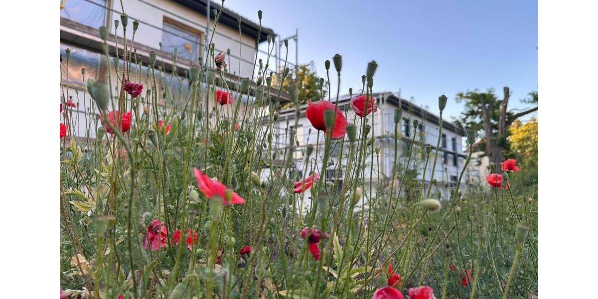 moderne Stadtvilla zur Miete - Erstbezug in energieeffiziente Neubau-Doppelhaushälfte 4 zimmer