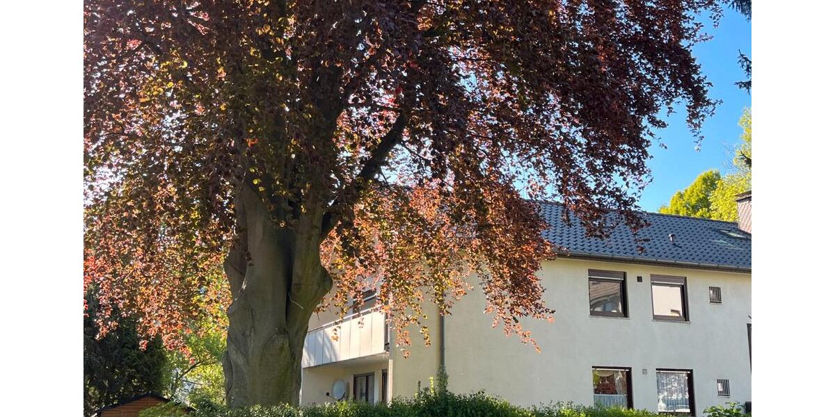 Etagenwohnung Paderborn - 4 Zimmer, 87 m&sup2;, 297.000&euro; | Angebot:26680373