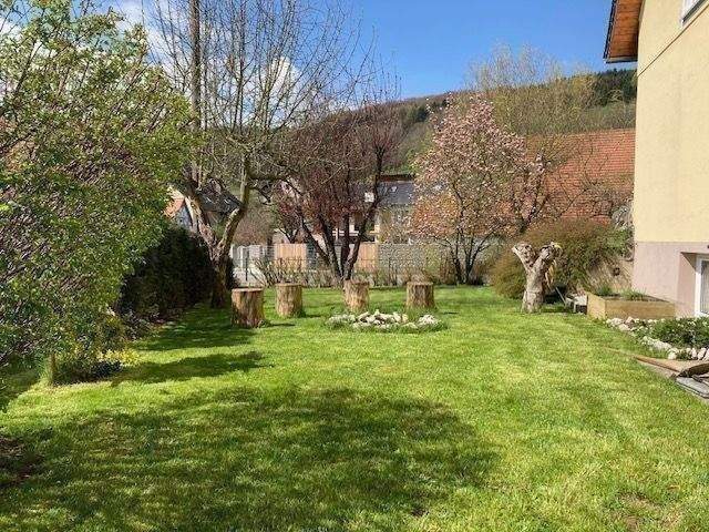 ***NATURGENUSS...ein Traum wird wahr...im Herzen der METROPOLREGION...Einbauküche*** 3 zimmer