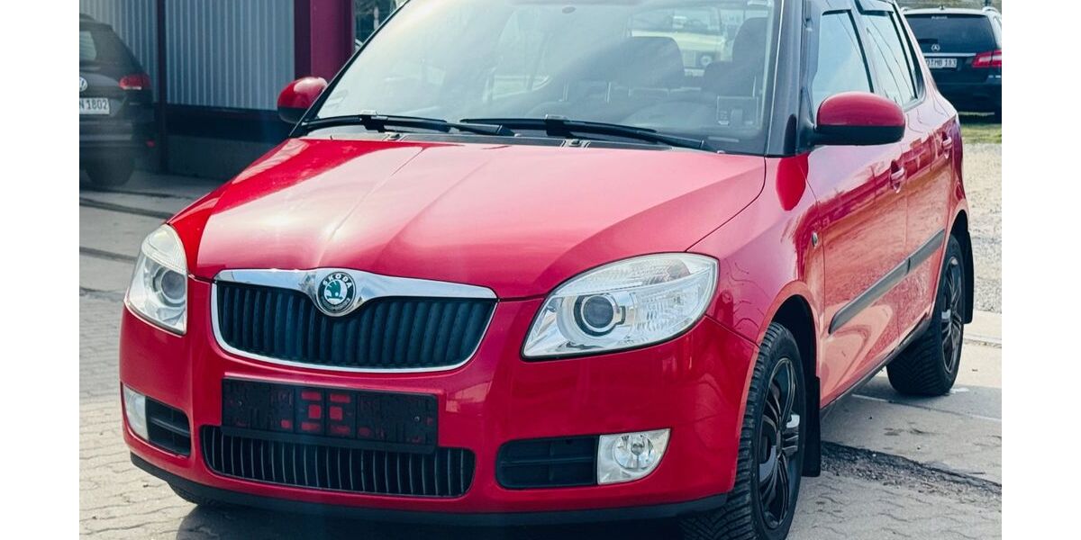 Skoda Fabia 161.123 km 4.600 &euro; Rostock 18069