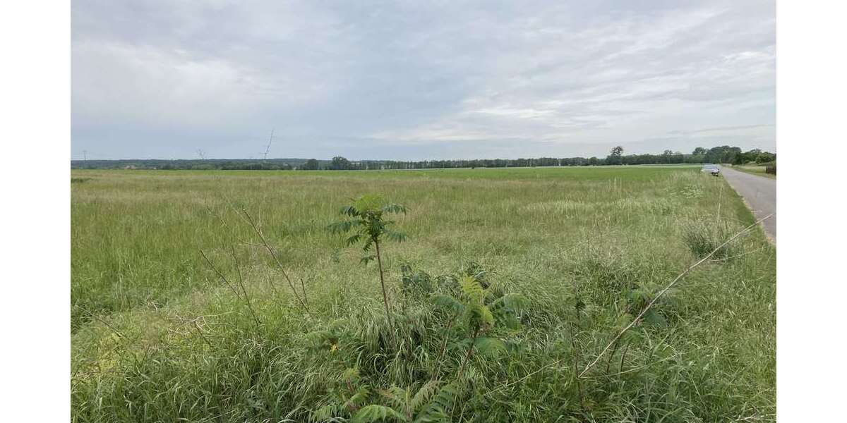 Grundstück Siestedt Siestedt - 99.000&euro; | Angebot:25937773