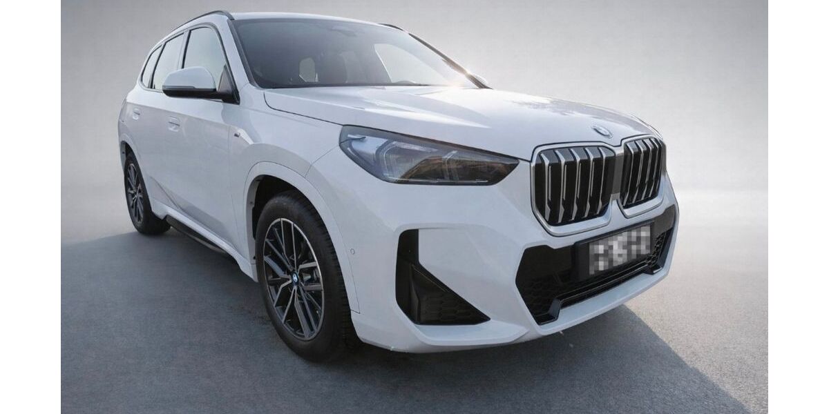 BMW X1 8.200 km 38.300 &euro; DRESDEN 01309