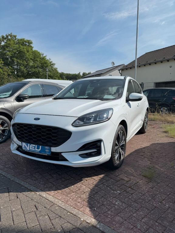 Kuga