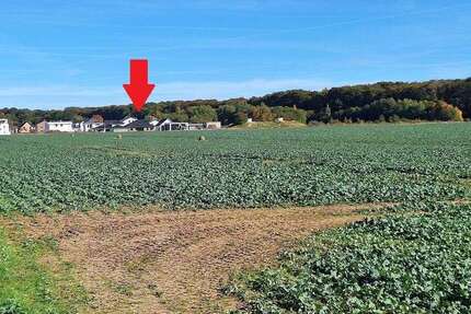 Haus zum Kaufen in Greifswald 798.000 € 189.62 m² 6 zimmer