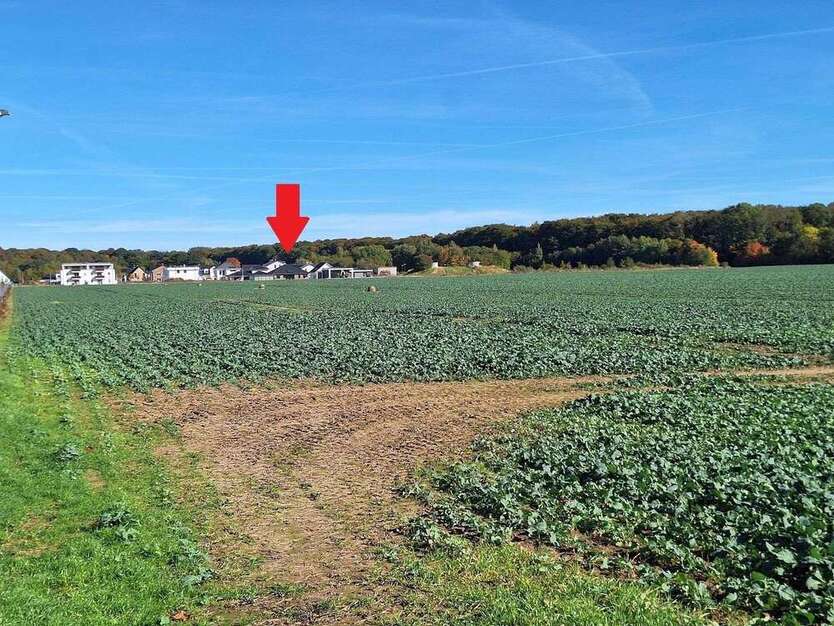 Haus zum Kaufen in Greifswald 798.000 € 189.62 m² 6 zimmer