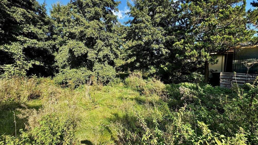 Grundstück Claußnitz Röllingshain - 39.900&euro; | Angebot:25690446