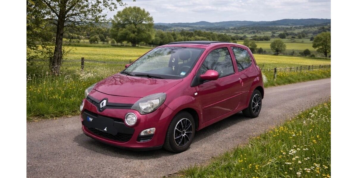 Renault Twingo 134.000 km 3.250 &euro; Krauchenwies 72505