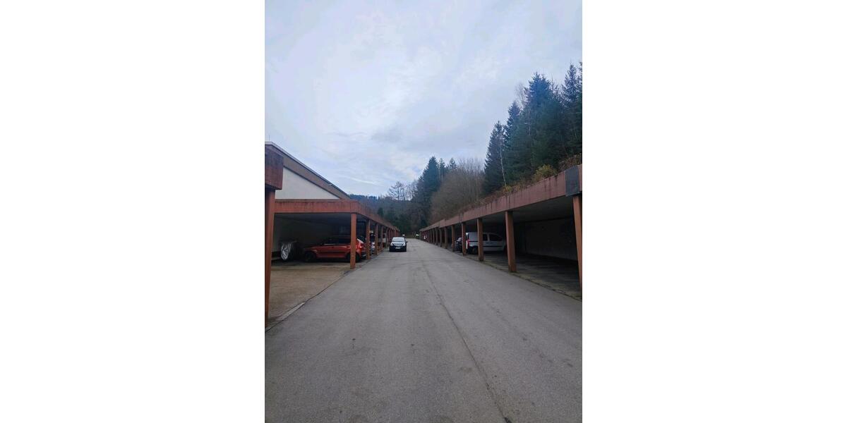 1 Zimmer Wohnung in Baiersbronn 1 zimmer