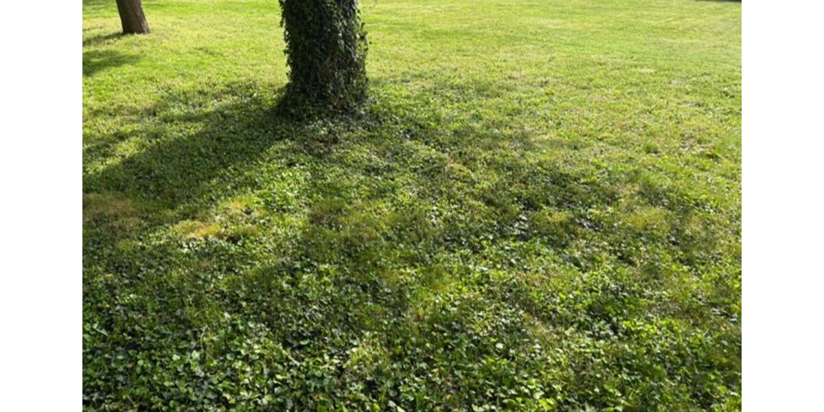 Gewerbeobjekt Giesen - 550&euro; | Angebot:24869585