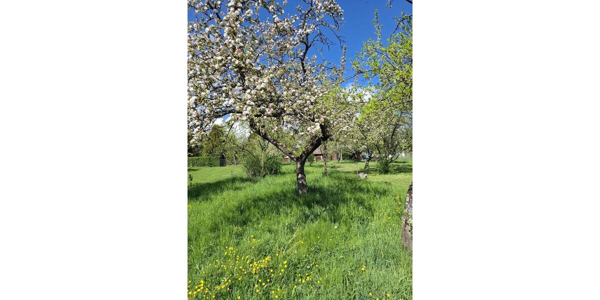 Grundstück Esslingen am Neckar - 50&euro; | Angebot:26378676