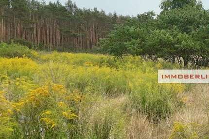 Grundstück Kablow Kablow - 350.000&euro; | Angebot:25562678