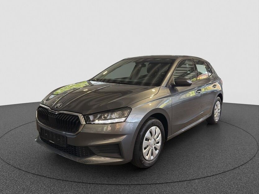 Skoda Fabia 29.467 km 18.890 € Karlsruhe 76131
