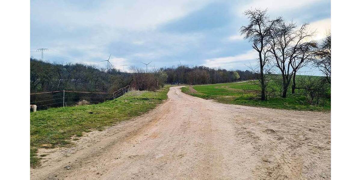 Versteigerungsimmobilie Heringen/Helme Uthleben - 25.000&euro; | Angebot:26290939