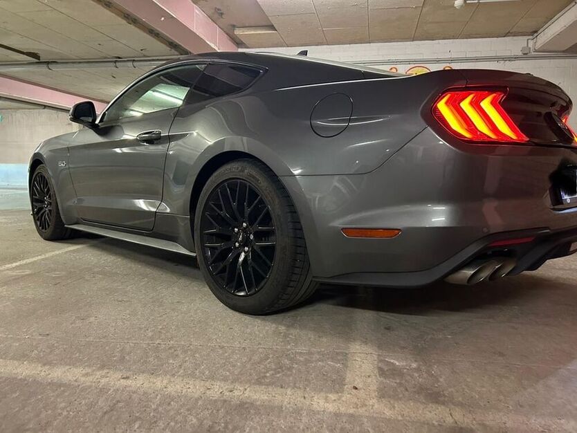 Mustang