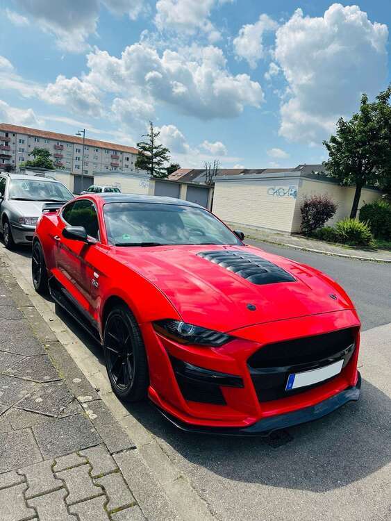 Mustang