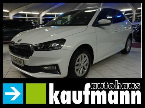 Skoda Fabia 54.583 km 16.790 &euro; Aalen-Dewangen 73434