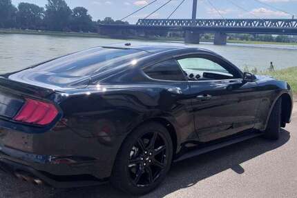 Ford Mustang 12.850 km 39.990 &euro; Maximiliansau (Wörth am Rhein) 76744