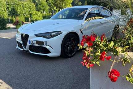 Alfa Romeo Giulia 21.500 km 65.800 &euro; Tailfingen (Albstadt) 72461